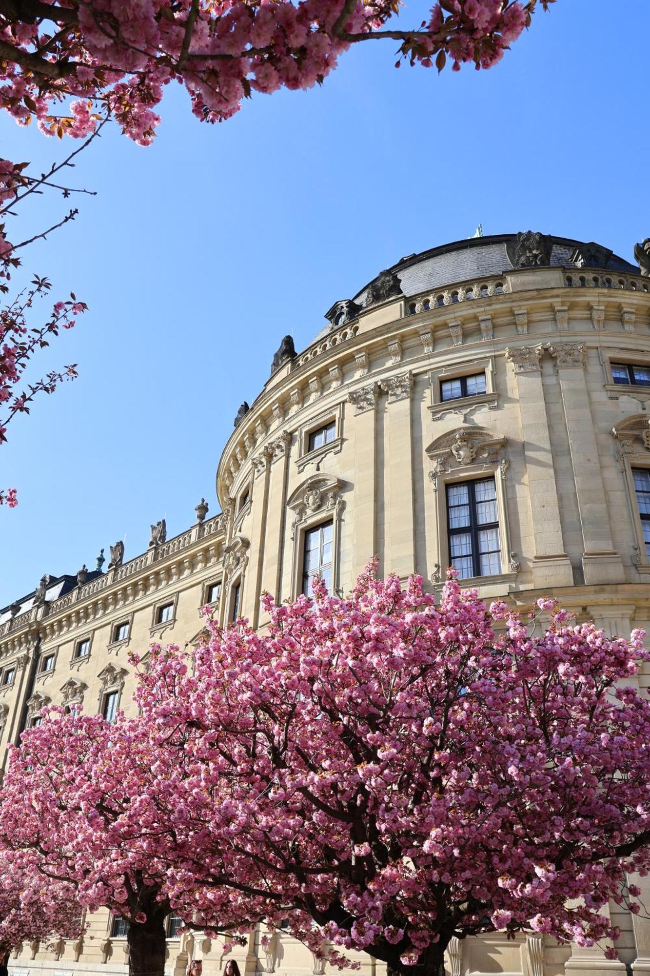 Appartamento Ringpark-Ferien Würzburg Esterno foto